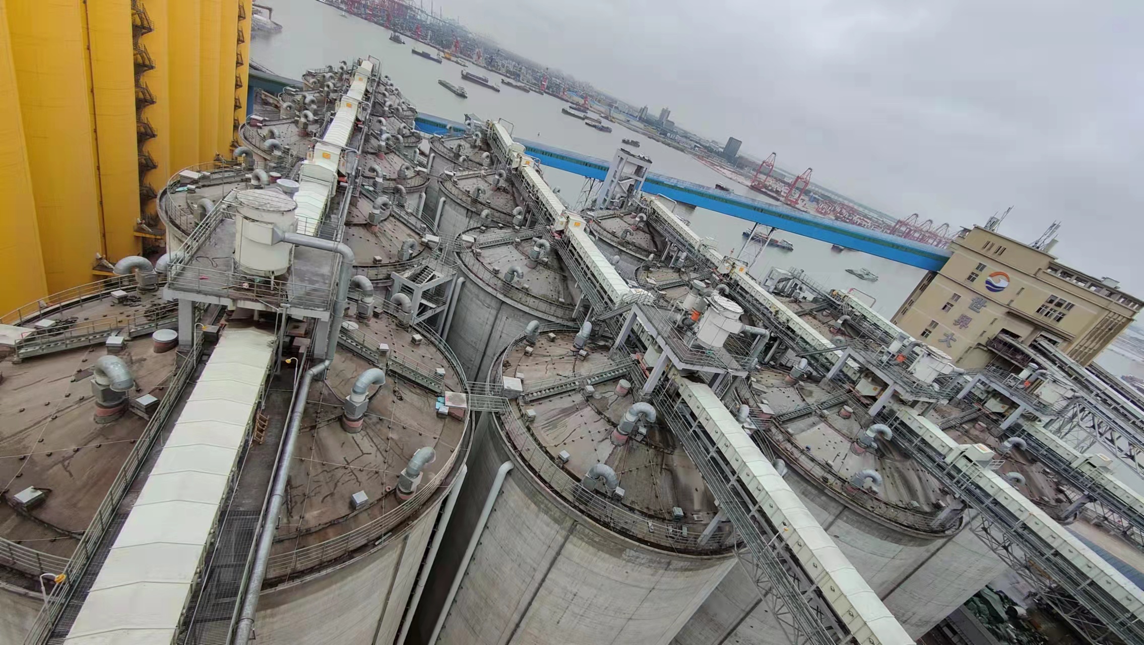 利馬克3D雷達(dá)物位掃描儀在廣州港南沙糧食筒倉(cāng)和星倉(cāng)的糧食庫(kù)存管理應(yīng)用(圖17)